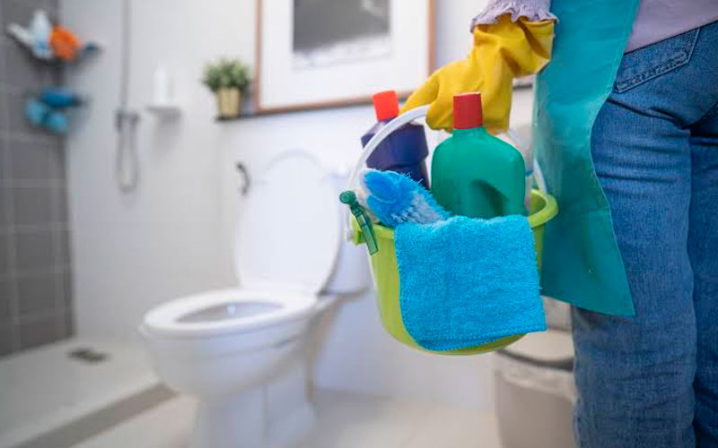 Toilet Cleaning Services
